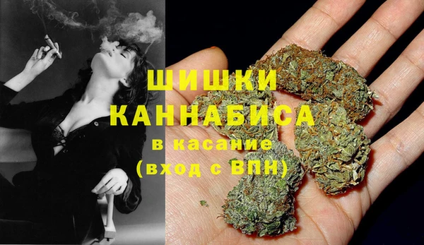 ГАЛЛЮЦИНОГЕННЫЕ ГРИБЫ Абаза