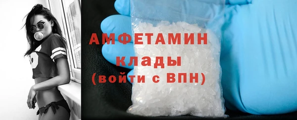 ГАЛЛЮЦИНОГЕННЫЕ ГРИБЫ Абаза