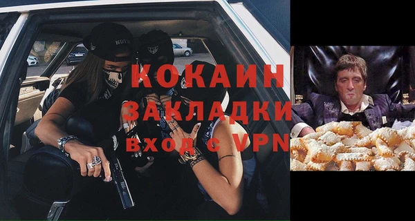 ГАЛЛЮЦИНОГЕННЫЕ ГРИБЫ Абаза