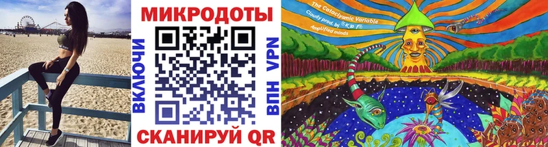 где найти наркотики  Барыш  Галлюциногенные грибы Psilocybe 